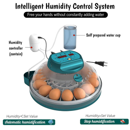 Digital Egg Incubator with Auto Humidity System