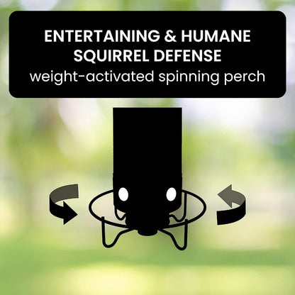 Wild Bird Seed Feeder Cage