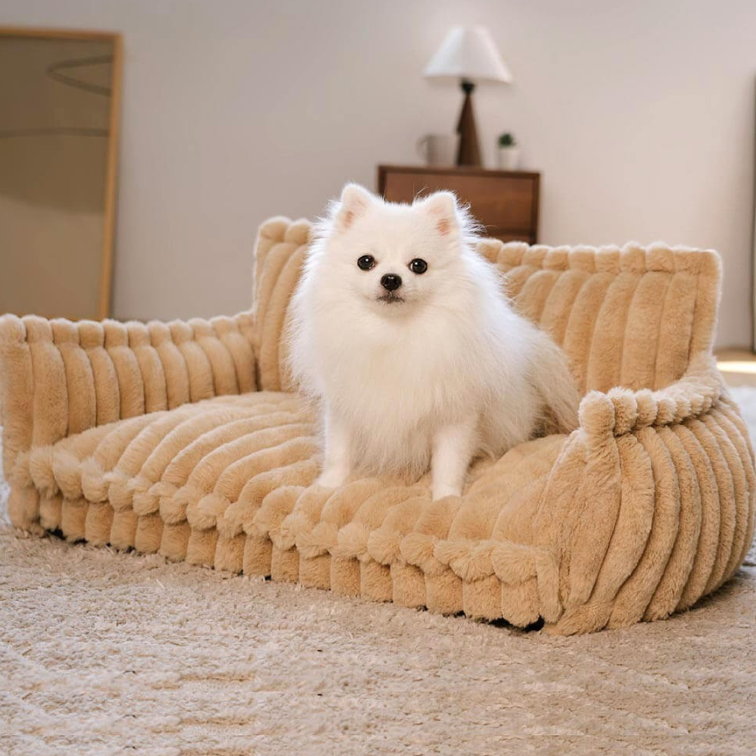 Comfortable Orthopedic Pet Dog Bed With Back Support