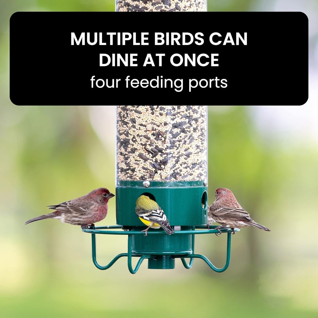 Wild Bird Seed Feeder Cage