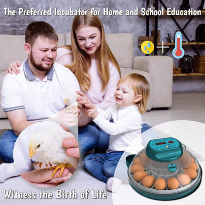 Digital Egg Incubator with Auto Humidity System