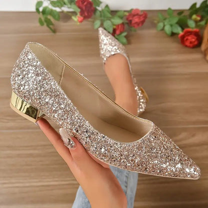 Sparkly Pointed Toe Low Heel Flat Shoes