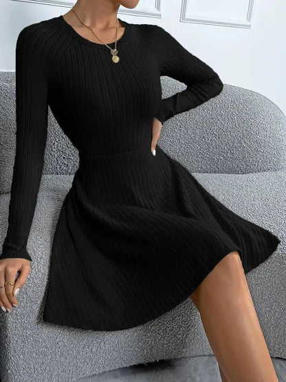 Classic Fit Women's Long Sleeve Knit Dress