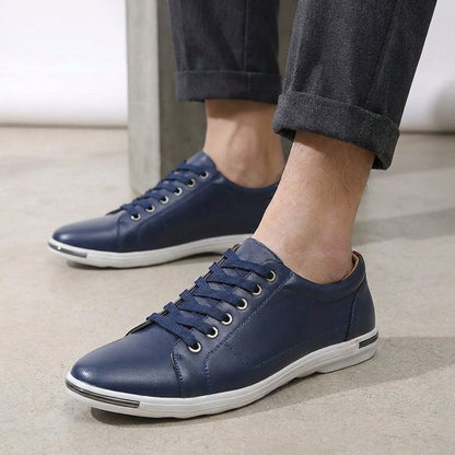 Classic Brown Low Top Shoe