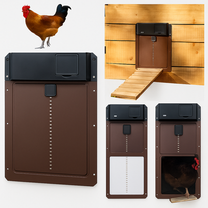 Easy Automatic Chicken Coop Opener with Timer and Sensor - Olytrend