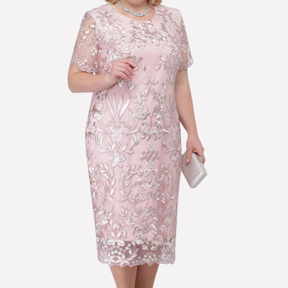 Curvy Fit Ladies Dress