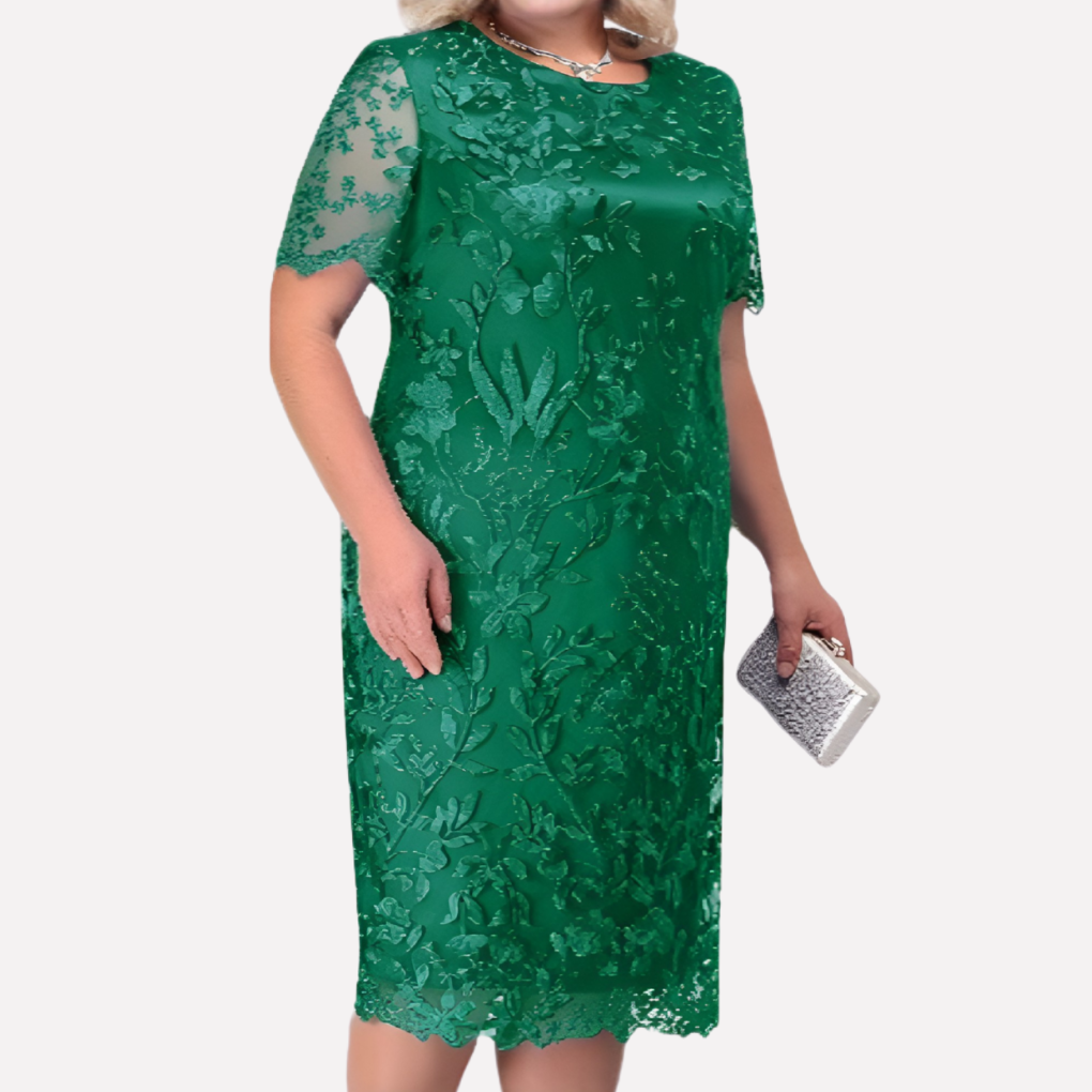 Curvy Fit Ladies Dress - Olytrend