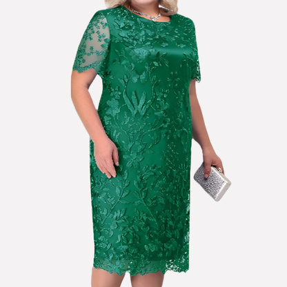 Curvy Fit Ladies Dress - Olytrend