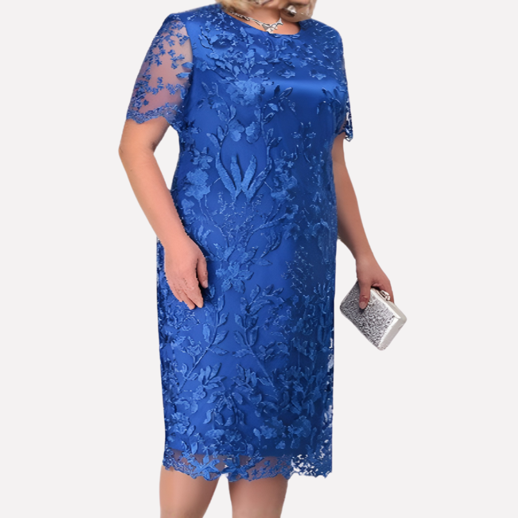 Curvy Fit Ladies Dress