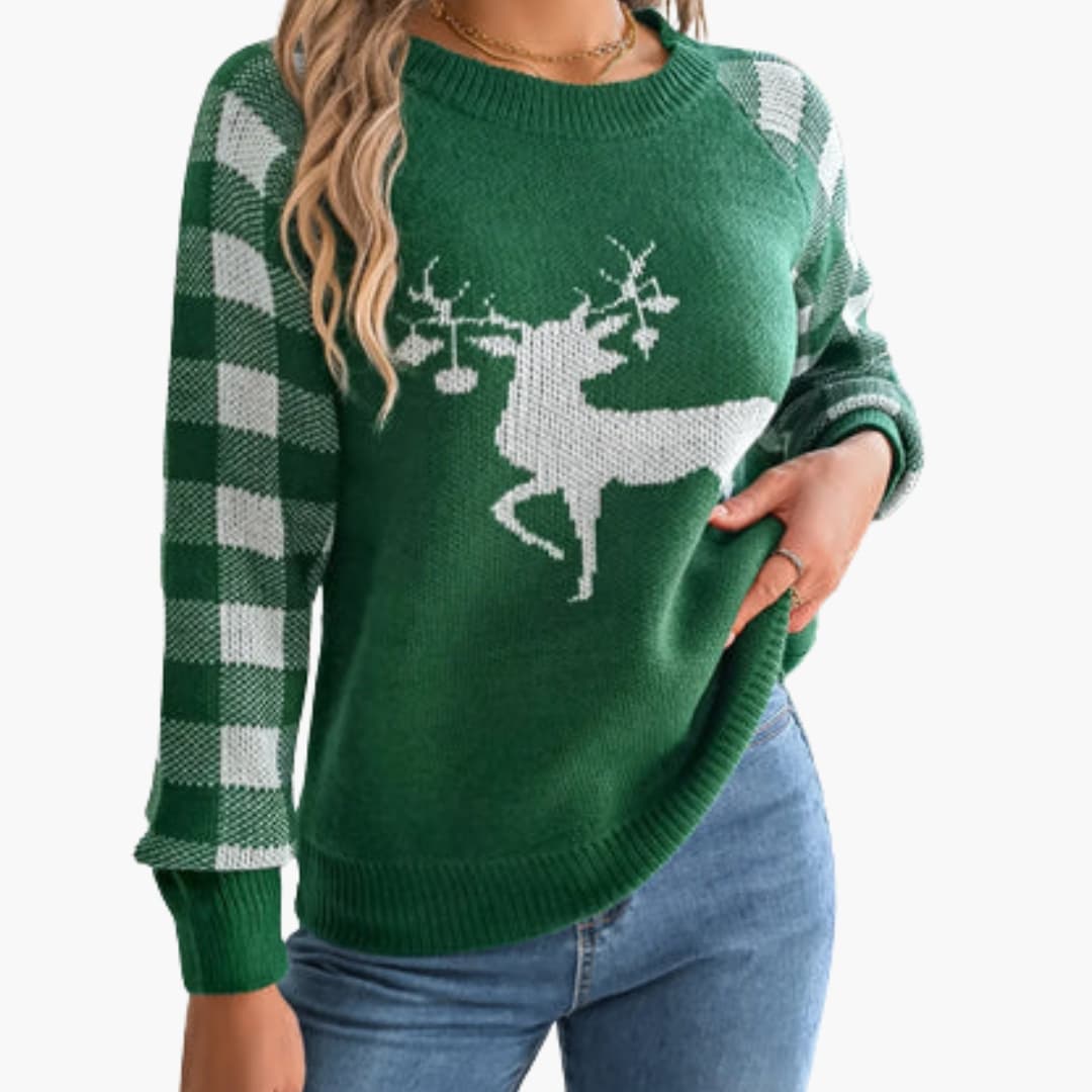 Cozy Women's Crew Neck Winter Sweater
