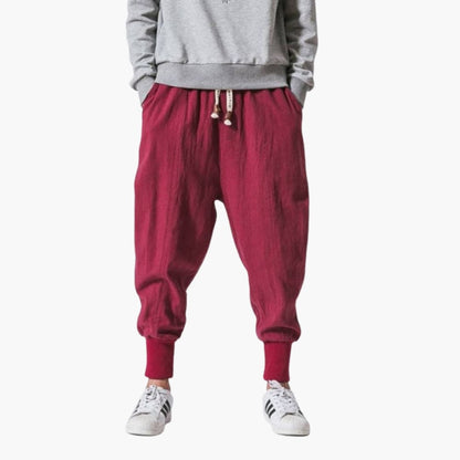 Comfortable Elastic Waist Harem Pants for Men