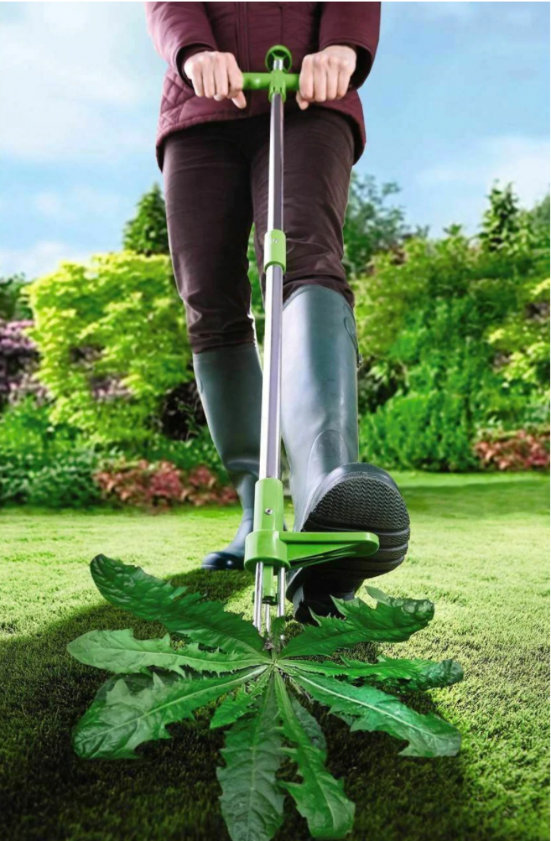 Easy Garden Weed Remover Tool - Olytrend