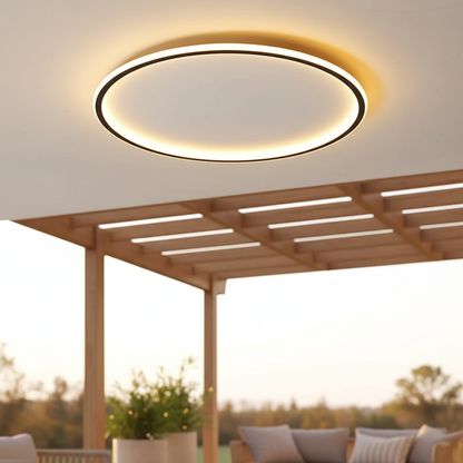 Stylish Overhead Room Light - Pexav
