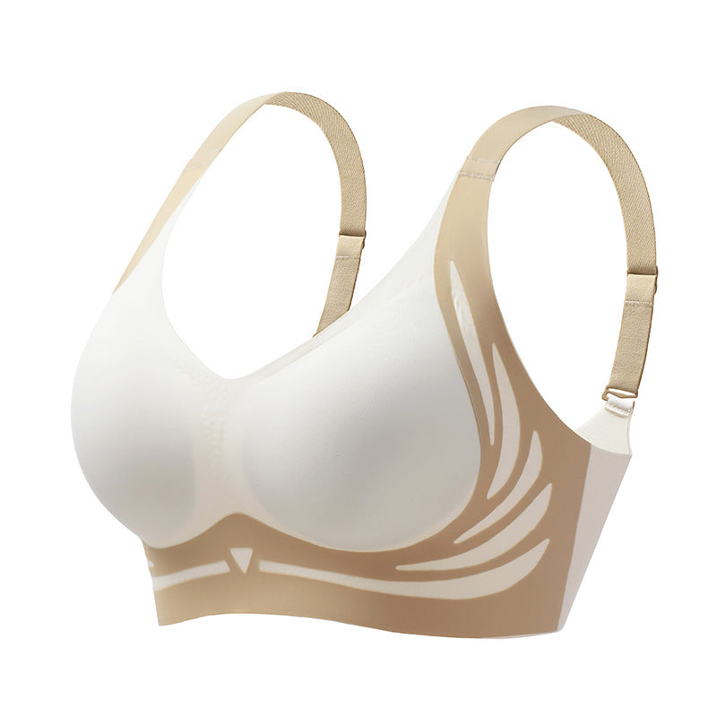 Comfortable Wireless Push Up Bra for Women - Nocini