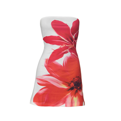 Sexy Strapless Bodycon Mini Dress for Women