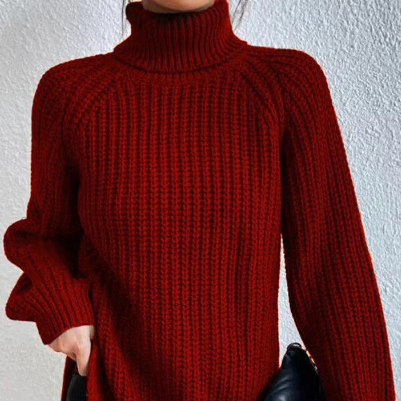 Cozy Women's Crew Neck Thick Knit Long Sleeve Sweater