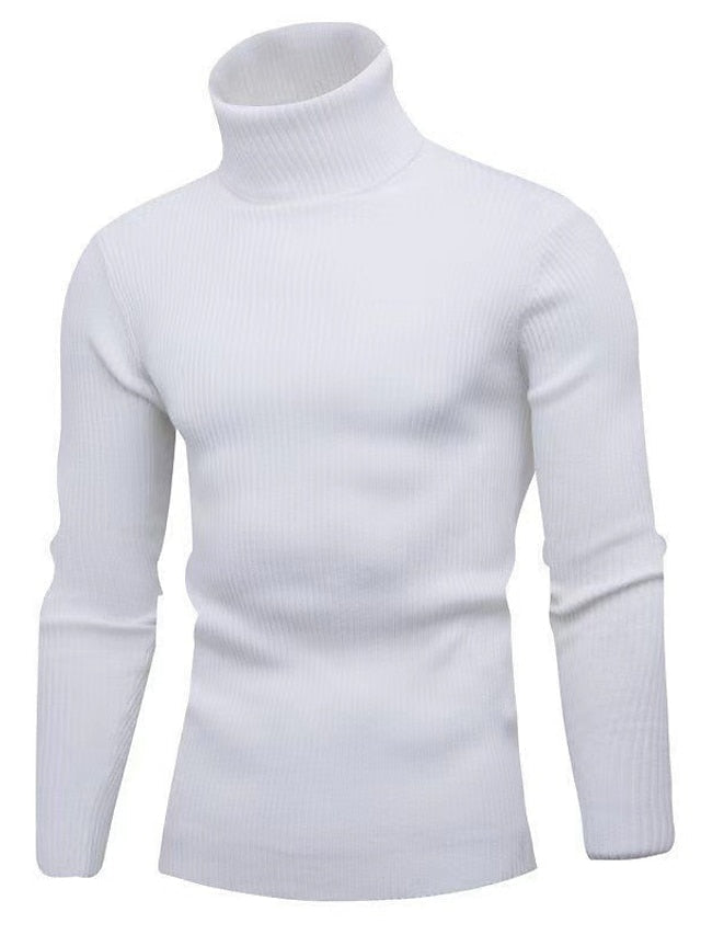 Stylish Mens Crew Neck Knit Sweater