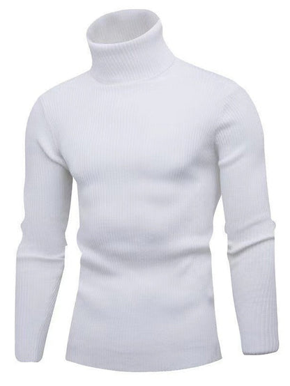 Stylish Mens Crew Neck Knit Sweater