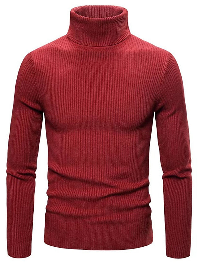 Stylish Mens Crew Neck Knit Sweater