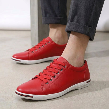 Classic Brown Low Top Shoe