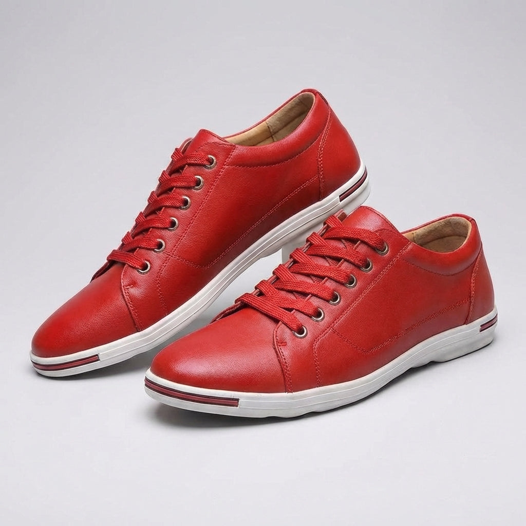 Classic Brown Low Top Shoe