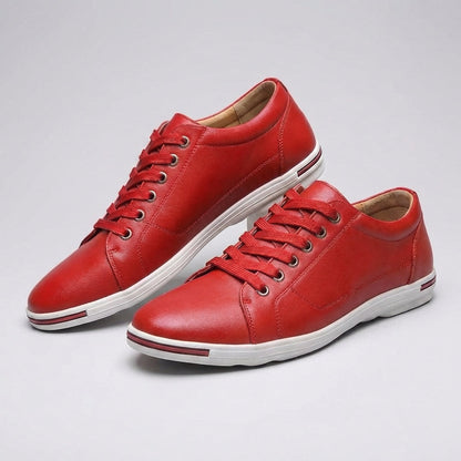 Classic Brown Low Top Shoe