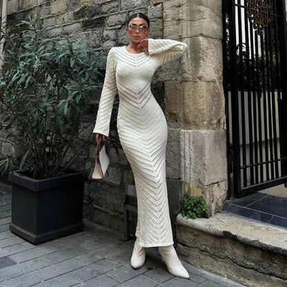 Fitted Women's Mesh Long Sleeve Dress