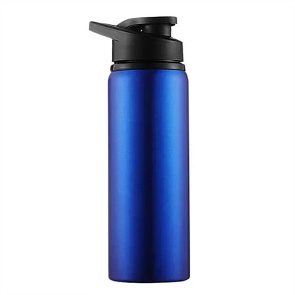 Insulated Stainless Steel Water Bottle