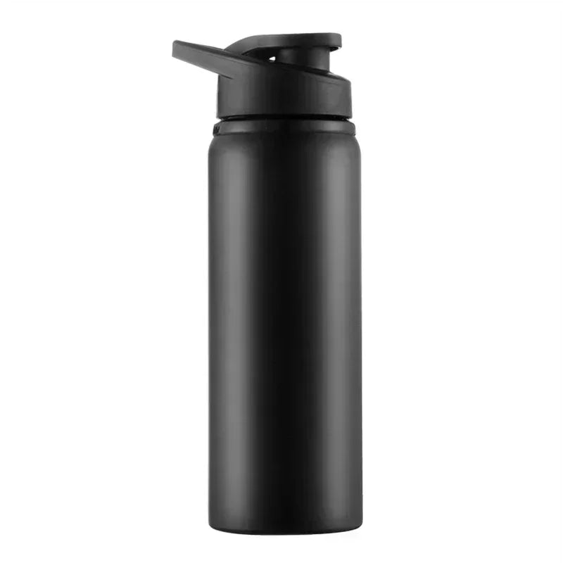 Insulated Stainless Steel Water Bottle