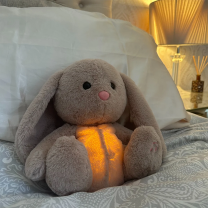 Soft Plush Teddy Bear