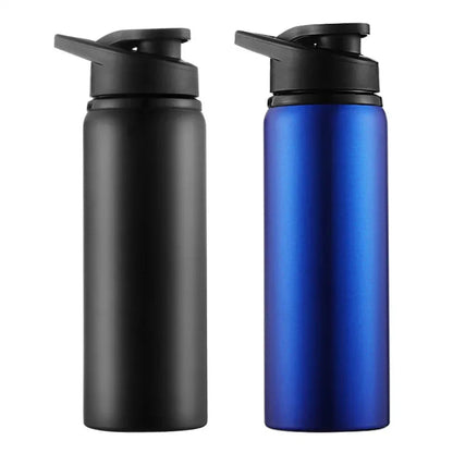 Insulated Stainless Steel Water Bottle