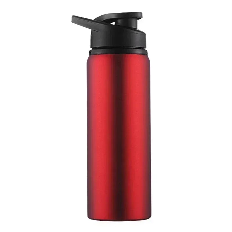 Insulated Stainless Steel Water Bottle