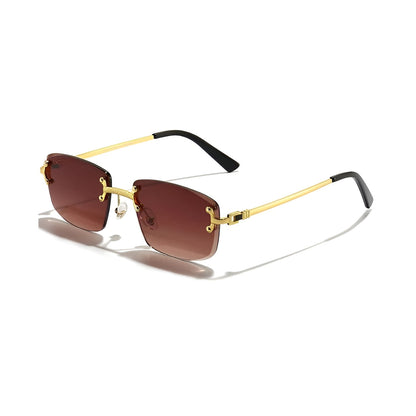 Classic Aviator De Santos Shades