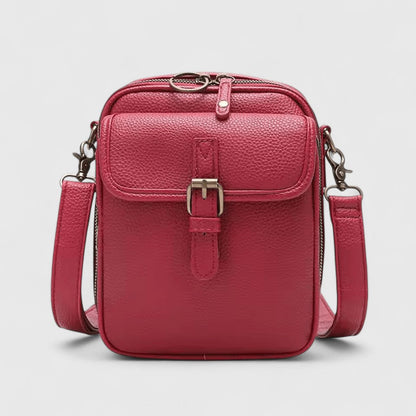 Classic Women's Daily Tote Handbag