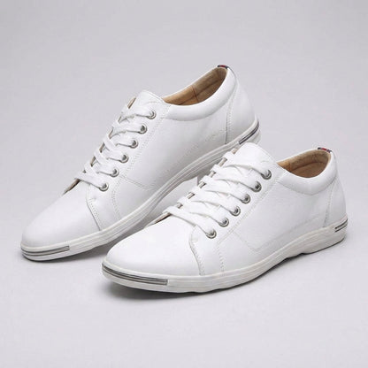 Classic Brown Low Top Shoe