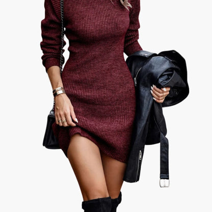 Classic Fit Crew Neck Knit Dress - Olytrend