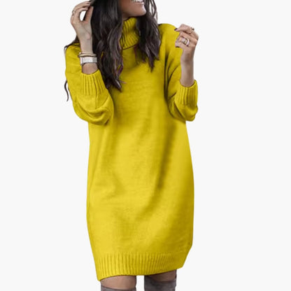 Ladies' Crew Neck Warm Sweater Dress with Long Sleeves