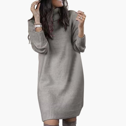 Ladies' Crew Neck Warm Sweater Dress with Long Sleeves