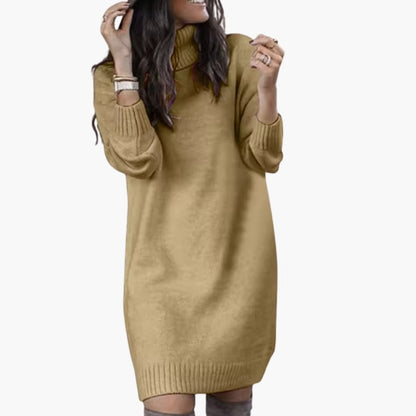 Ladies' Crew Neck Warm Sweater Dress with Long Sleeves