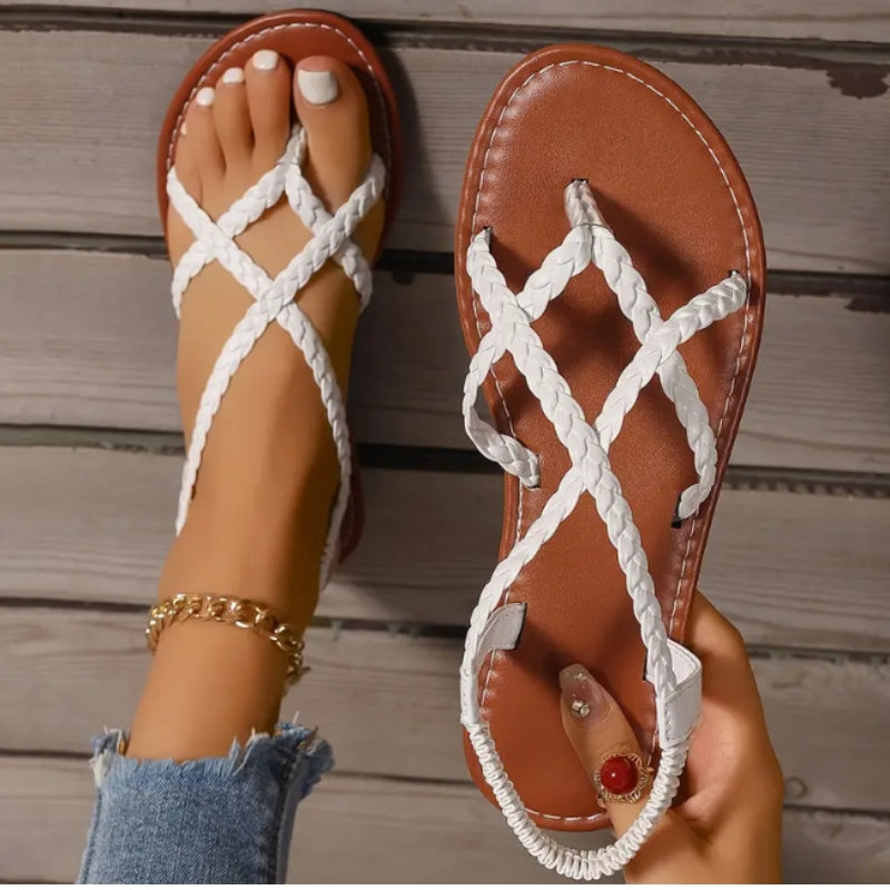 Fashionable Ladies Woven Toe Loop Summer Sandals - Nocini