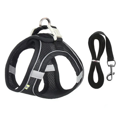 Adjustable Cat Harness with Leash – WhiskerWander-Black-XS - 1.1 – 6.6 lbs-Nora Luxe
