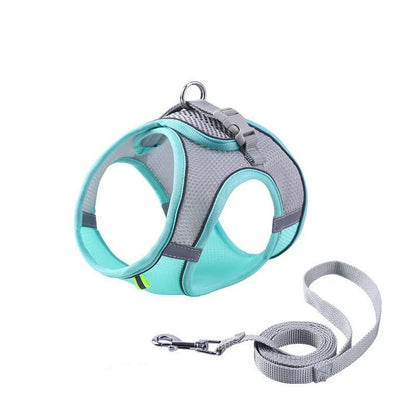 Adjustable Cat Harness with Leash – WhiskerWander-Blue-XS - 1.1 – 6.6 lbs-Nora Luxe