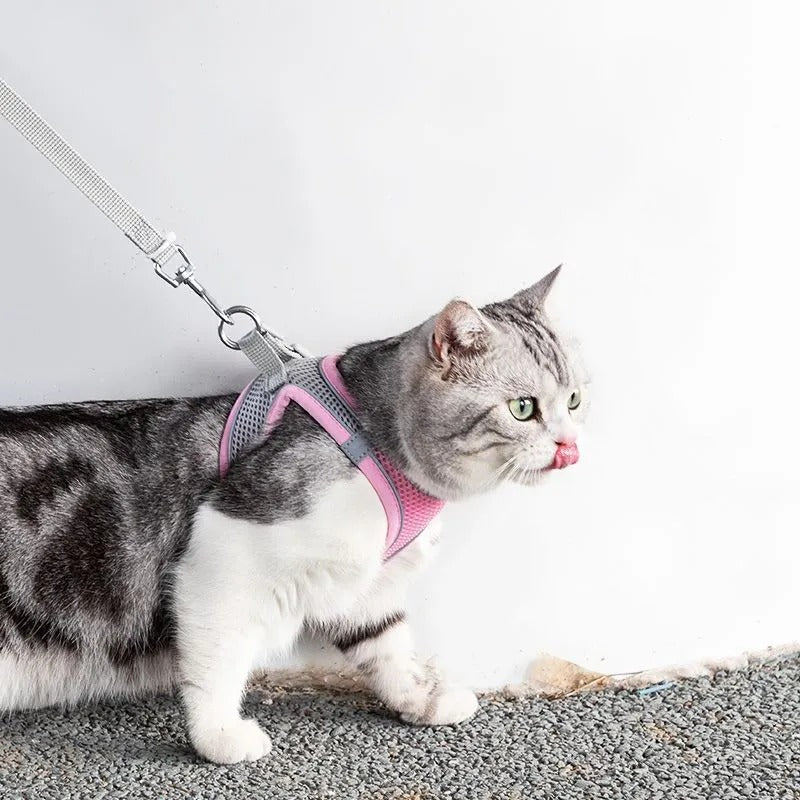 Comfortable Kitty Harness and Lead Set - Pexav