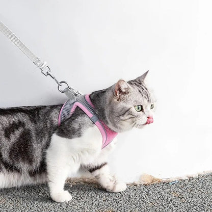 Comfortable Kitty Harness and Lead Set - Pexav
