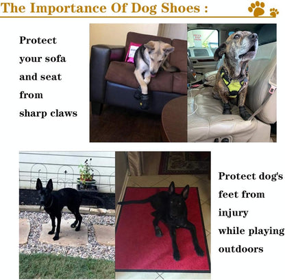 All-Weather Dog Boots for Safe Adventures-Black-1-Nora Luxe
