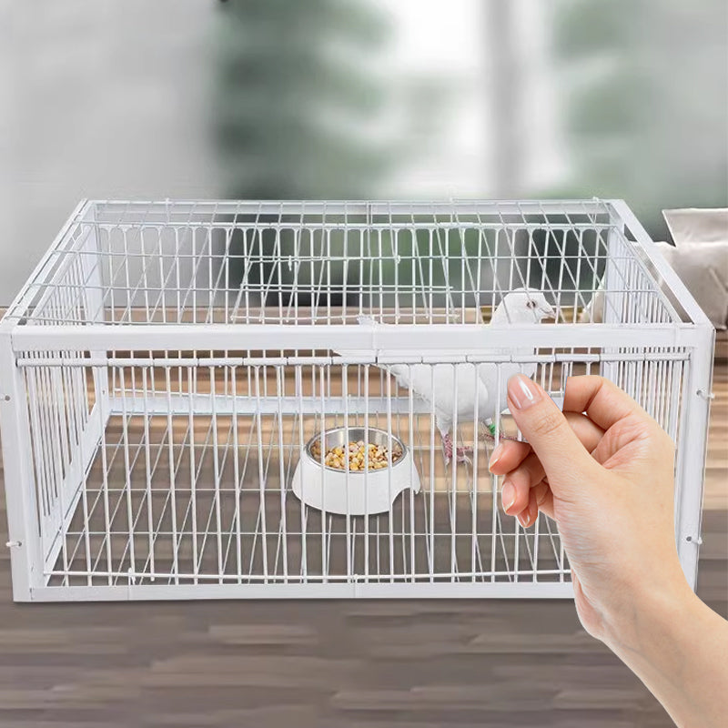 Humane Bird Catcher with Safety Features - Pexav