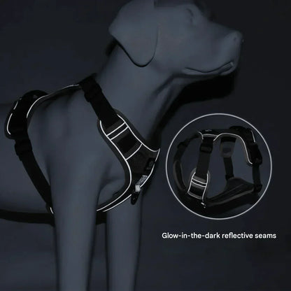 Anti-Trek Dog Harness with Comfort Padding – PullFree-Blue-S-Nora Luxe