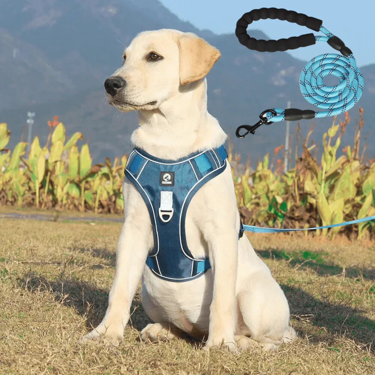 Comfortable No Pull Dog Harness with Soft Padding - Pexav