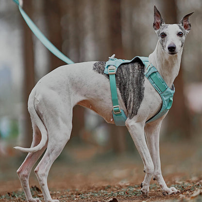 Anti-Trek Dog Harness with Multi-Functional Leash - AquaCool-Harness - Beige-XS-Nora Luxe