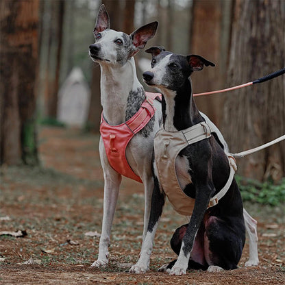 Comfortable Dog Vest Harness with Adjustable Leash - Pexav